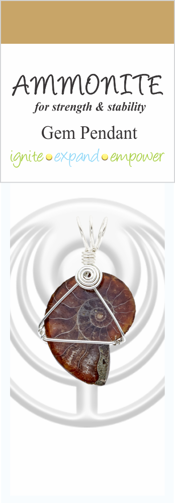 Ammonite Silver Plated Wire Wrap from South Africa - TopRock
